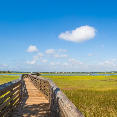 A wooden boardwalk leads through lush green marshland under a bright blue sky with scattered clouds.