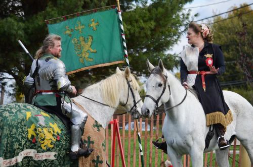 A knight in armor and a woman in a black dress on horseback, with a green banner featuring a lion in the background.