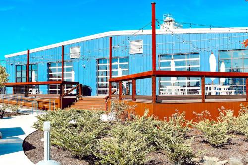 A modern blue building with large windows, surrounded by greenery and outdoor seating areas under a clear blue sky.