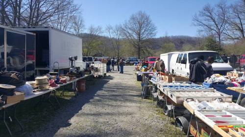 A bustling outdoor flea market with tables of various items, vehicles in the background, and trees lining the area.