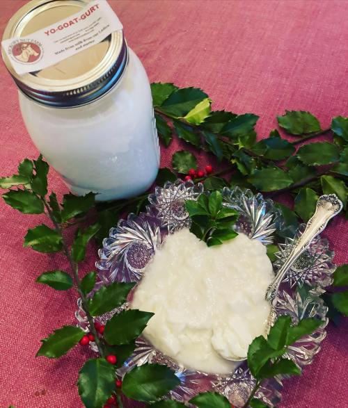 A jar of yogurt next to a decorative plate of yogurt, surrounded by green leaves on a pink tablecloth.