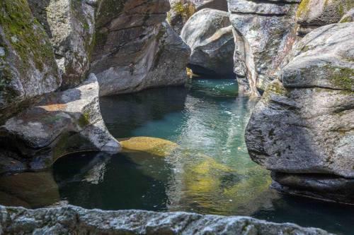 A serene natural pool surrounded by moss-covered rocks and smooth boulders, reflecting light in a tranquil setting.
