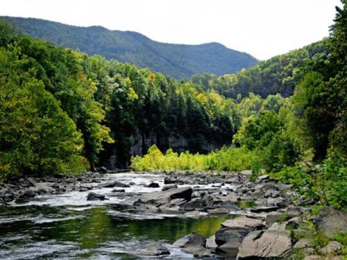A serene river flows through a lush green landscape, surrounded by mountains and trees under a clear sky.