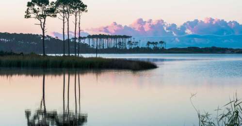 Serene lake scene at sunset, featuring tall trees and colorful clouds reflected in calm waters.