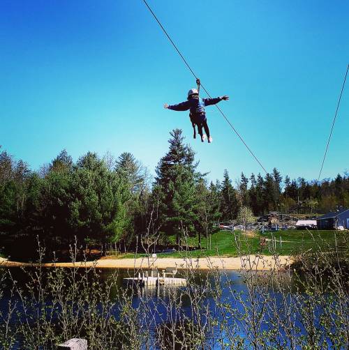 A person zip-lining over a lake, surrounded by trees and a clear blue sky.