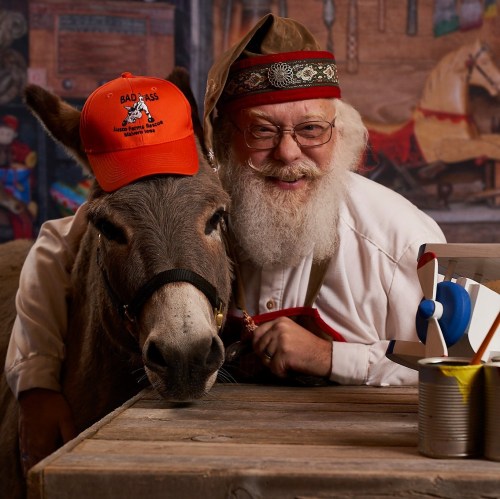 A smiling man with a white beard and glasses poses with a donkey, both wearing festive hats, in a cozy setting.