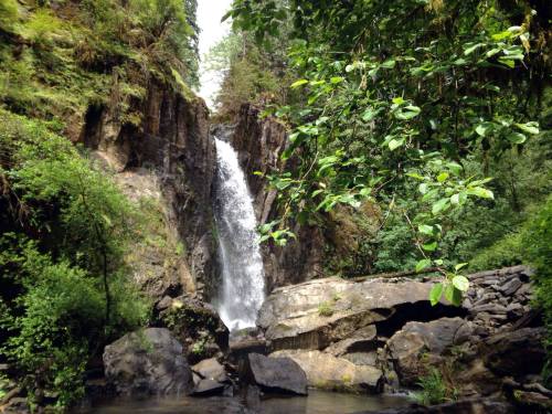 A serene waterfall cascades down rocky cliffs, surrounded by lush green trees and foliage.