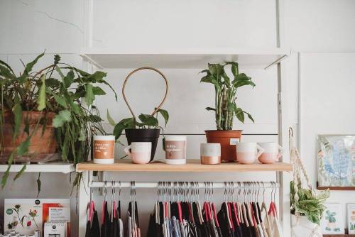 A wooden shelf displaying various potted plants and decorative pots against a light wall, with clothing hanging below.
