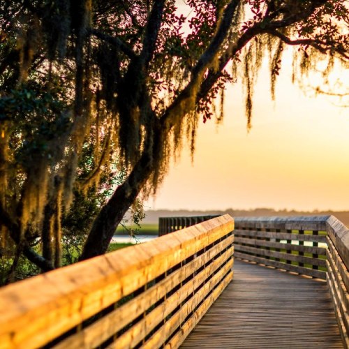 A wooden boardwalk leads through trees towards a sunset, casting warm light over the serene landscape.