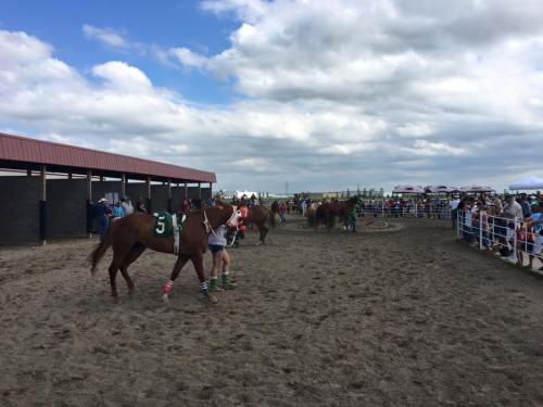 A horse race event with spectators, horses, and jockeys in colorful attire under a cloudy sky.