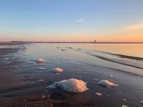 A serene beach at sunset, with gentle waves and foam scattered along the shore, reflecting soft colors in the sky.