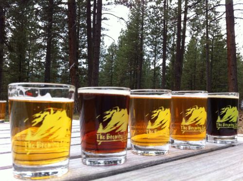 Five glasses of beer in various colors lined up on a wooden table, surrounded by tall trees in a forest setting.