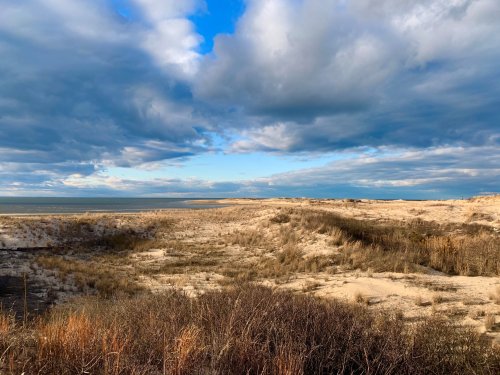 A coastal landscape featuring sandy dunes, sparse vegetation, and a cloudy sky over the ocean horizon.
