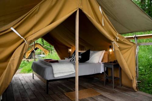 Cozy glamping tent with a bed, wooden floor, and soft lighting, surrounded by greenery.