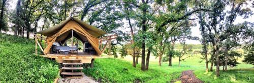 A cozy glamping tent on a wooden platform, surrounded by lush greenery and trees in a serene outdoor setting.