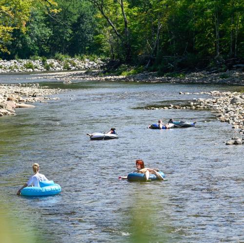 People floating on inner tubes in a calm river surrounded by trees and rocky banks on a sunny day.