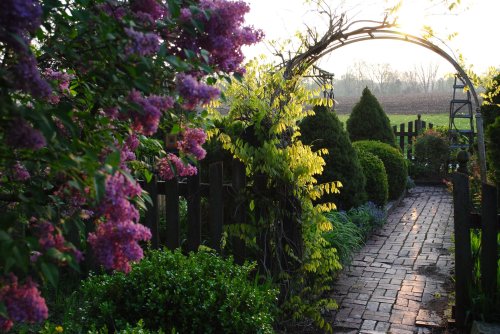 A serene garden path lined with colorful flowers and lush greenery, framed by an archway at sunrise.