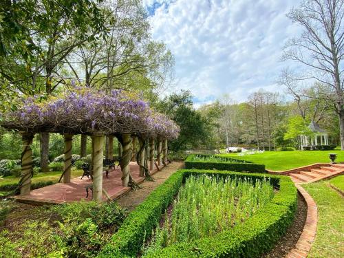 A serene garden with a pergola covered in purple flowers, surrounded by lush greenery and neatly trimmed hedges.