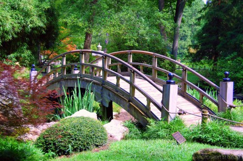 A wooden bridge arches over a serene garden pond, surrounded by lush greenery and colorful plants.