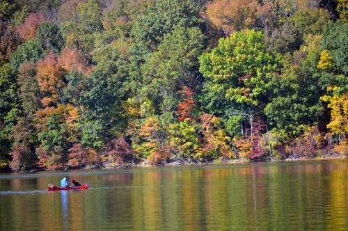 A person paddles a canoe on a calm lake surrounded by vibrant autumn foliage.