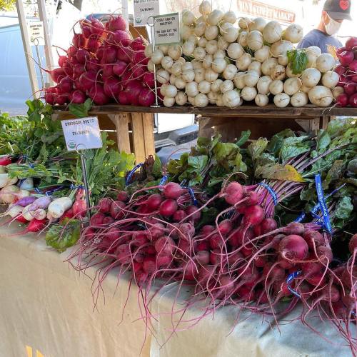 A variety of fresh radishes and beets displayed at a farmers market on wooden tables.