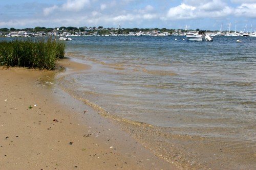 A sandy beach with gentle waves, grass along the shore, and boats in the distance under a partly cloudy sky.