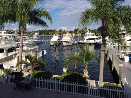 A scenic marina with several boats docked, surrounded by palm trees and a clear blue sky.