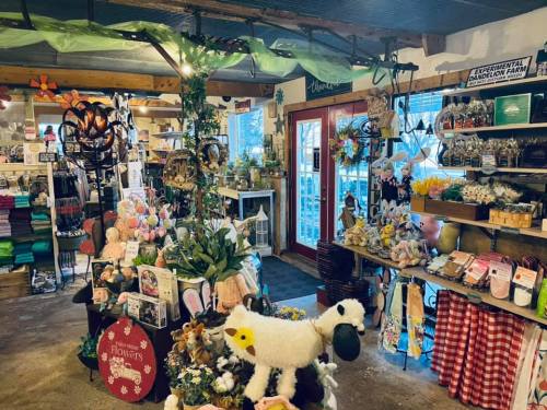 A cozy shop filled with colorful decorations, plants, and various gifts, creating a warm and inviting atmosphere.