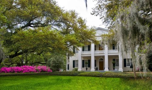 A classic southern mansion with white columns, surrounded by lush greenery and vibrant pink flowers.