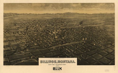 Aerial view illustration of Billings, Montana, showcasing the city layout and surrounding landscape in 1884.