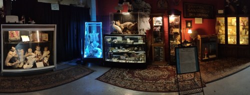 A panoramic view of a museum exhibit featuring various curiosities, including taxidermy and historical artifacts.