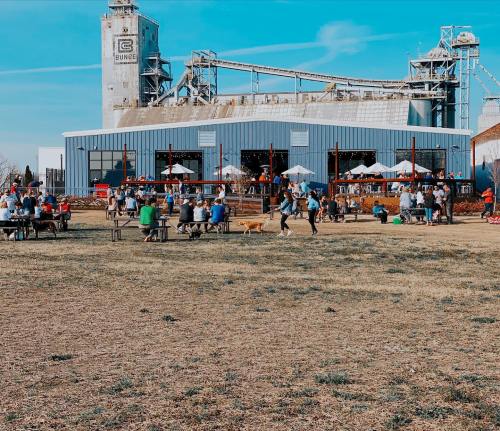 A lively outdoor gathering at a brewery with people seated at picnic tables and a dog in a grassy area.