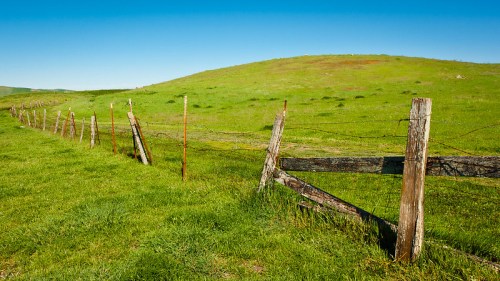 A rustic wooden fence lines a lush green hillside under a clear blue sky.