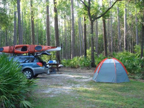 A campsite in a forest with a car, a kayak on the roof, and a small tent set up nearby among trees and greenery.