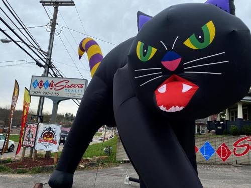 A large inflatable black cat with colorful eyes and fangs stands outside a business, with signs and power lines in the background.