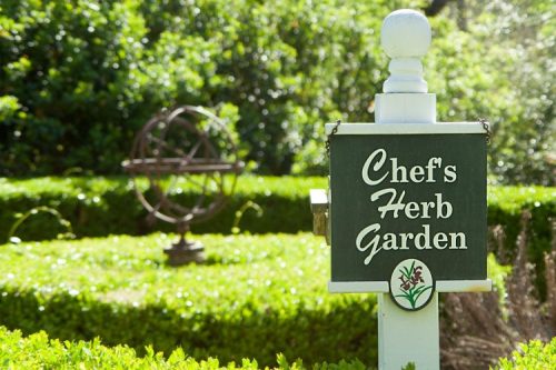 Sign for "Chef's Herb Garden" in a lush garden with a decorative globe in the background.