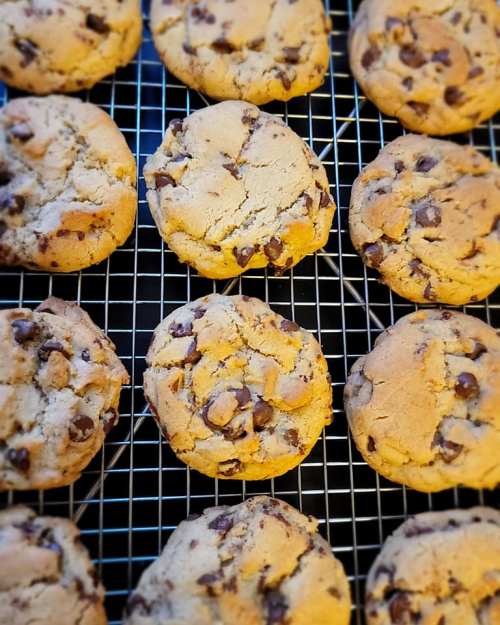Freshly baked chocolate chip cookies cooling on a wire rack.