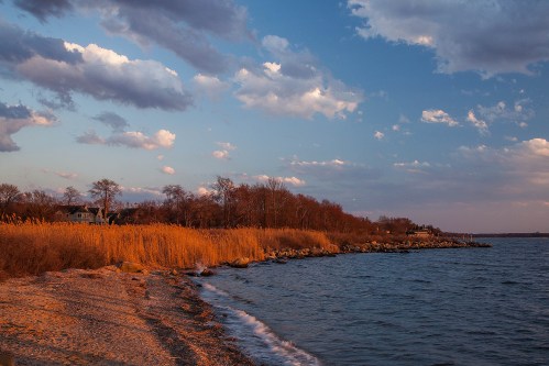 A serene shoreline at sunset, with golden grasses, gentle waves, and a colorful sky filled with clouds.