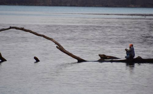 A person in an orange hat sits on a log over a calm lake, fishing in the serene water.