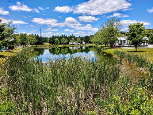 A serene pond surrounded by lush greenery and trees, reflecting a blue sky with fluffy clouds.