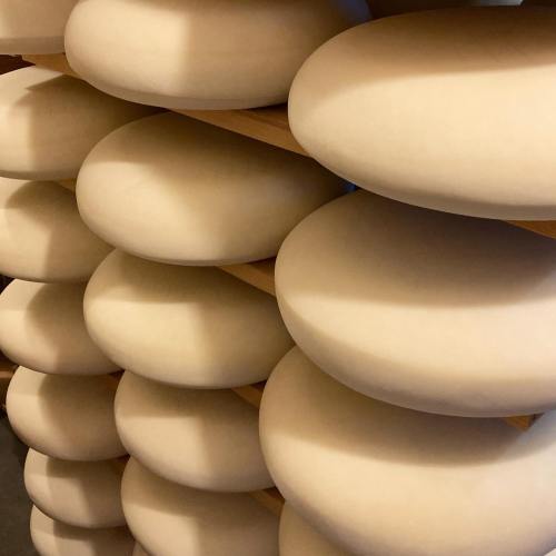 Rows of round, pale cheese wheels stacked on wooden shelves, creating a uniform and organized display.
