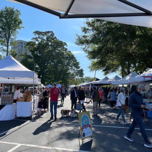 A bustling outdoor market with tents, shoppers, and dogs, set against a clear blue sky and green trees.