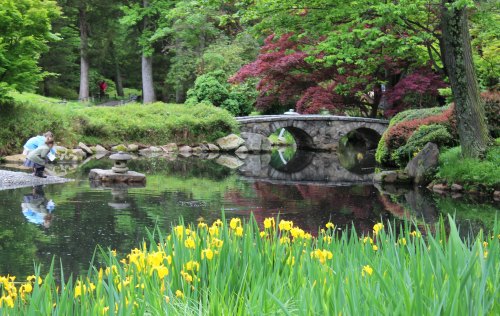 A serene garden scene with a pond, a stone bridge, vibrant flowers, and lush greenery.