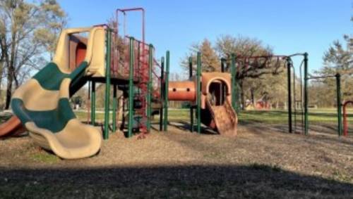 Playground with slides, climbing structures, and swings in a sunny park setting. Trees in the background.