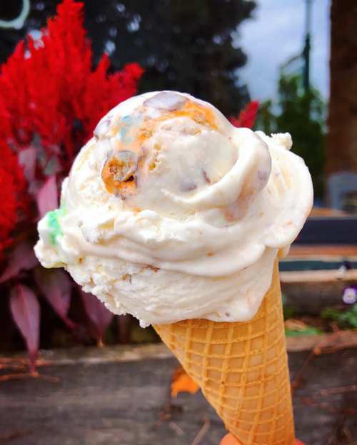 A close-up of a waffle cone filled with creamy ice cream, topped with colorful candy pieces, against a vibrant red plant backdrop.