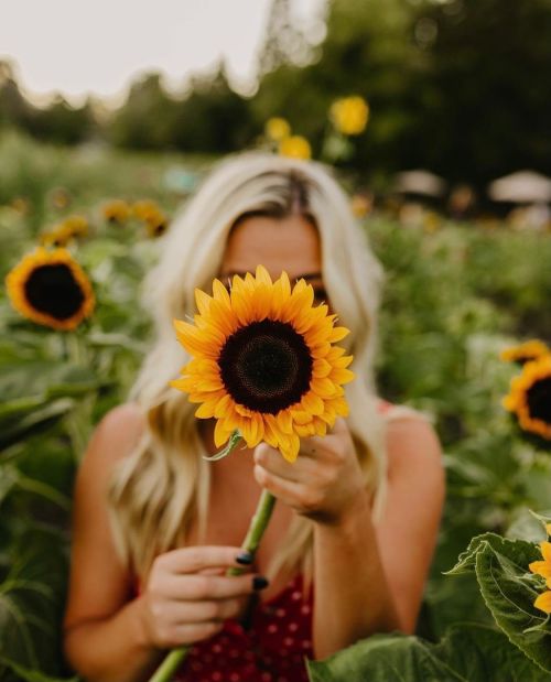 A person holds a sunflower in front of their face, surrounded by a field of sunflowers.