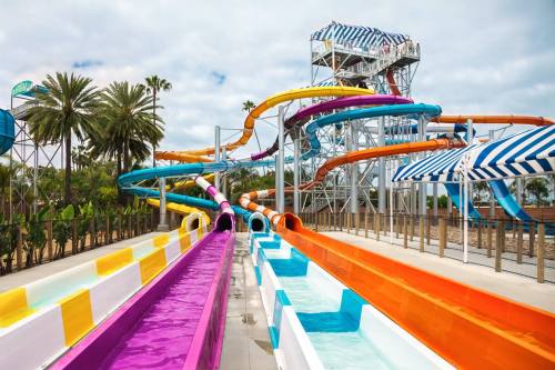 Colorful water slides twist and turn at a water park, surrounded by palm trees and a cloudy sky.