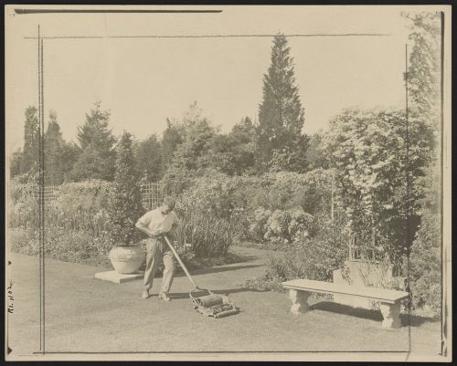 A man using a push lawn mower in a lush garden with trees and flowering plants.