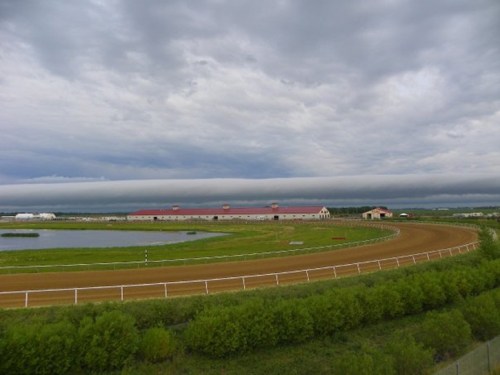 A horse racing track curves around a pond, with a cloudy sky and buildings in the background. Lush greenery lines the track.