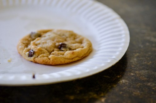 A single chocolate chip cookie on a white paper plate, resting on a dark countertop.
